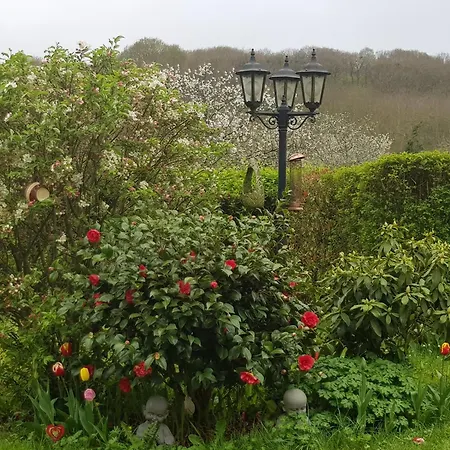 Hebergements Proche Pole Europeen Du Cheval Et Du Circuit Des 24h *