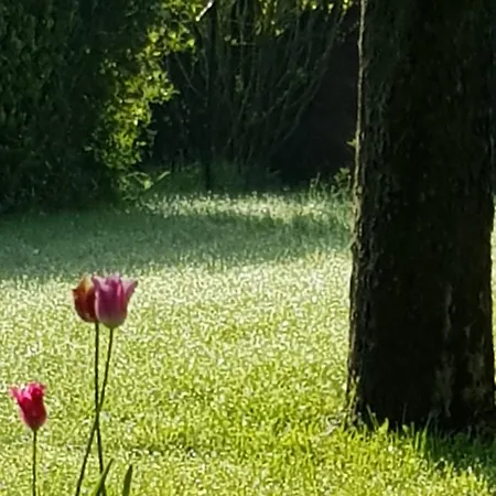 فندق مبيت وإفطار Hebergements Proche Pole Europeen Du Cheval Et Du Circuit Des 24h *